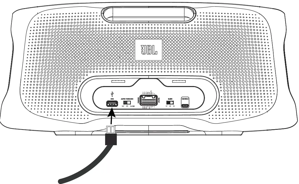 Charging a music device with the BassPro