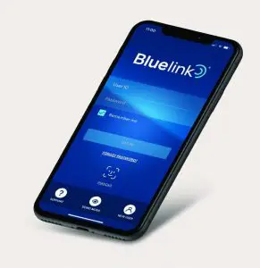 HYUNDAI PALISADE 2022 Car - 12