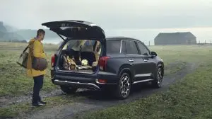 HYUNDAI PALISADE 2022 Car - Technology