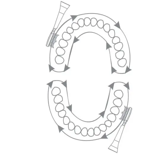 Ulike CB02 Sonic Electric Toothbrush - figure 13