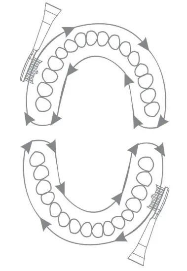 Ulike CB02 Sonic Electric Toothbrush - figure 8