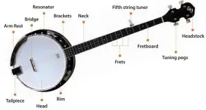 fig 1 Five string banjo parts