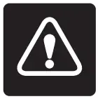WARNING Icon