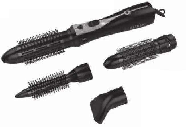 DC1055 Carmen Complete Multi Styler -