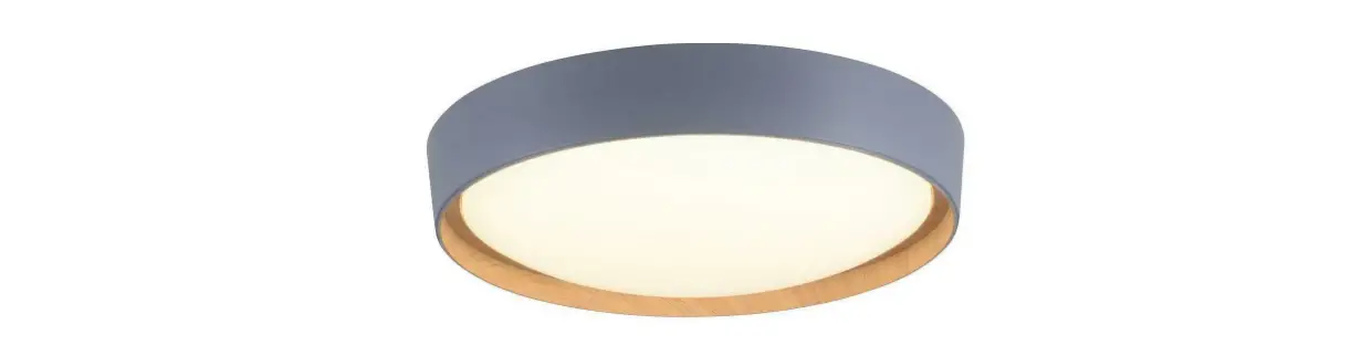 Paul Neuhaus Emilia Led Ceiling Light Instructions