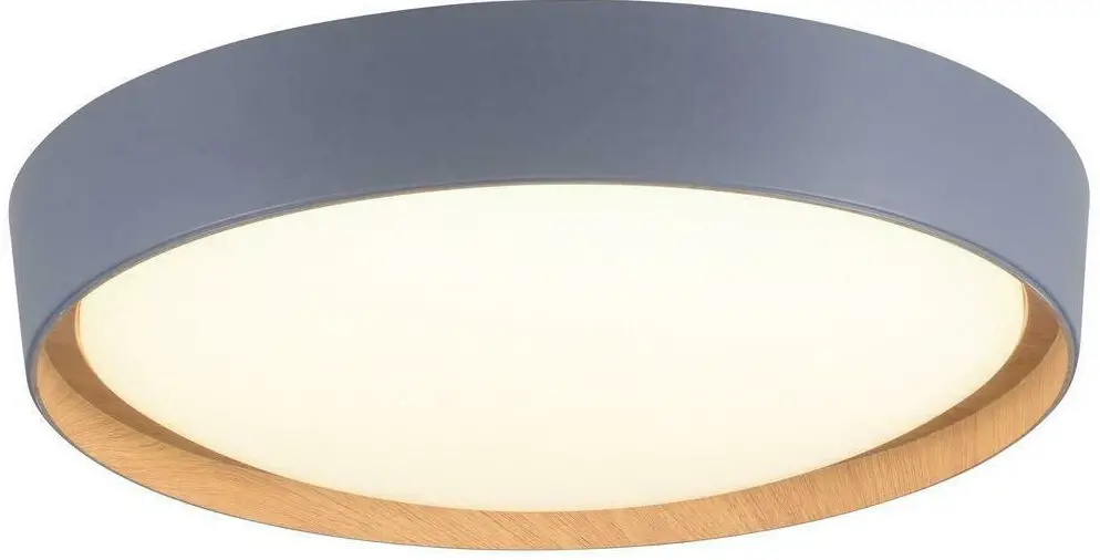 Paul Neuhaus Emilia LED Ceiling Light Instructions-fig1