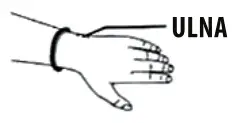 Hand Icon