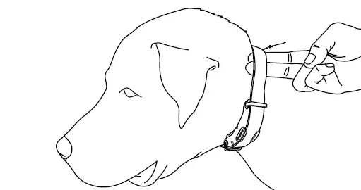 dogtra TD20UR 1900S Dog Training Device fig 9