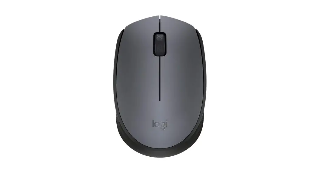 Shenzhen Dwason Technology Ms206 Wireless Mouse User Manual