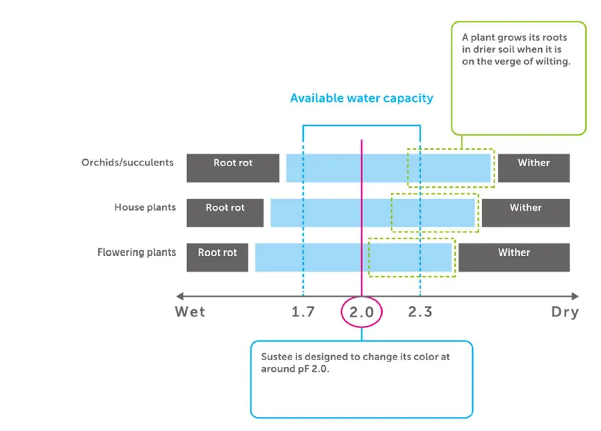 Sustee 5 studio Shopleaf Plant fig 2