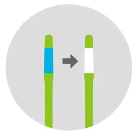 Sustee 5 studio Shopleaf Plant fig 5