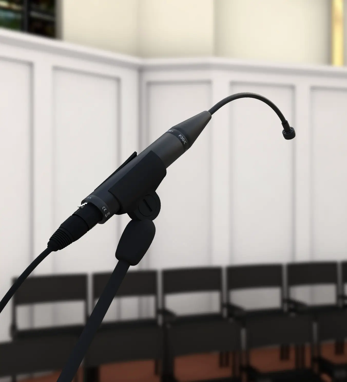 EARTHWORKS AUDIO P30 C Cardioid Condenser Gooseneck Microphone