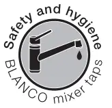 BLANCO S-icon