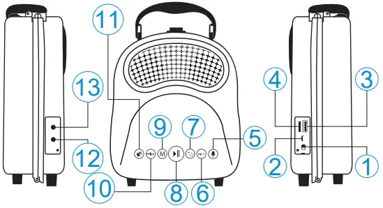 LASER MIC-KKAAST Portable Karaoke Machine-FIG7