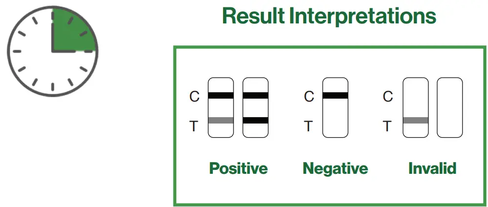 Rapid Response COVID 19 Antigen Rapid Test Device - fig 3