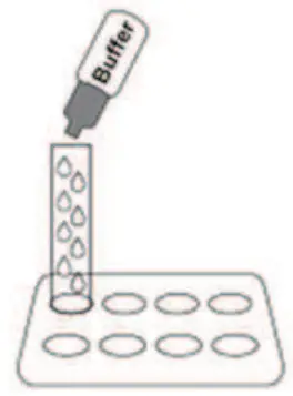 Rapid Response COVID 19 Antigen Rapid Test Device