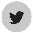 Twitter icon