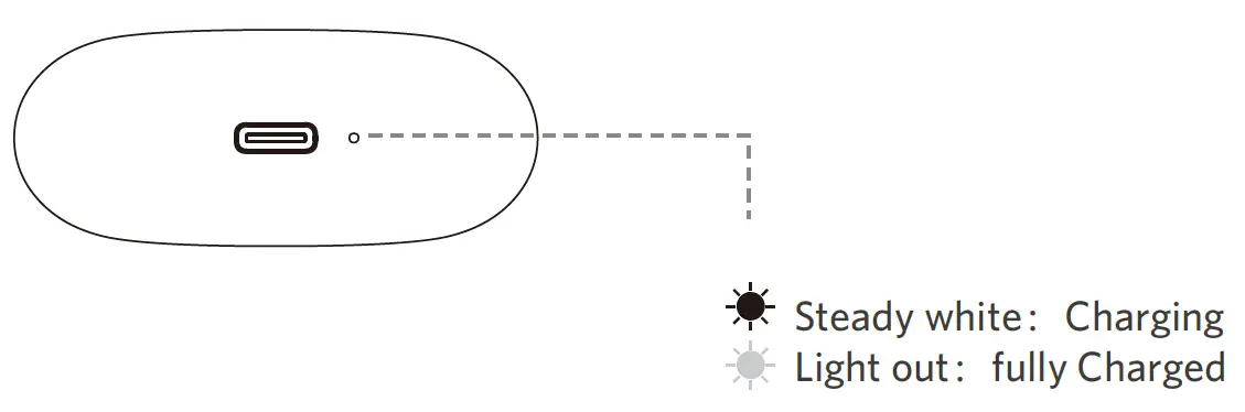 H2205 True Wireless Earbuds 3