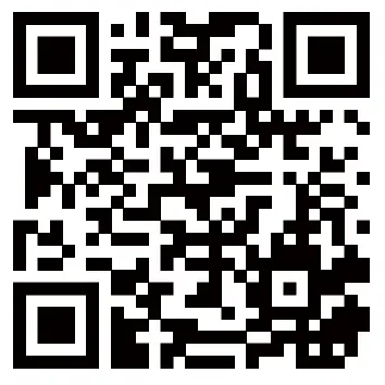 H2205 True Wireless Earbuds 9