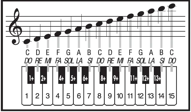 BONTEMPI-15-3785-Electronic-Table-Digital-Keyboard-09