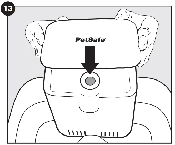 PetSafe PWW00-16468 Drinkwell 2 Gallon Pet -FIG14