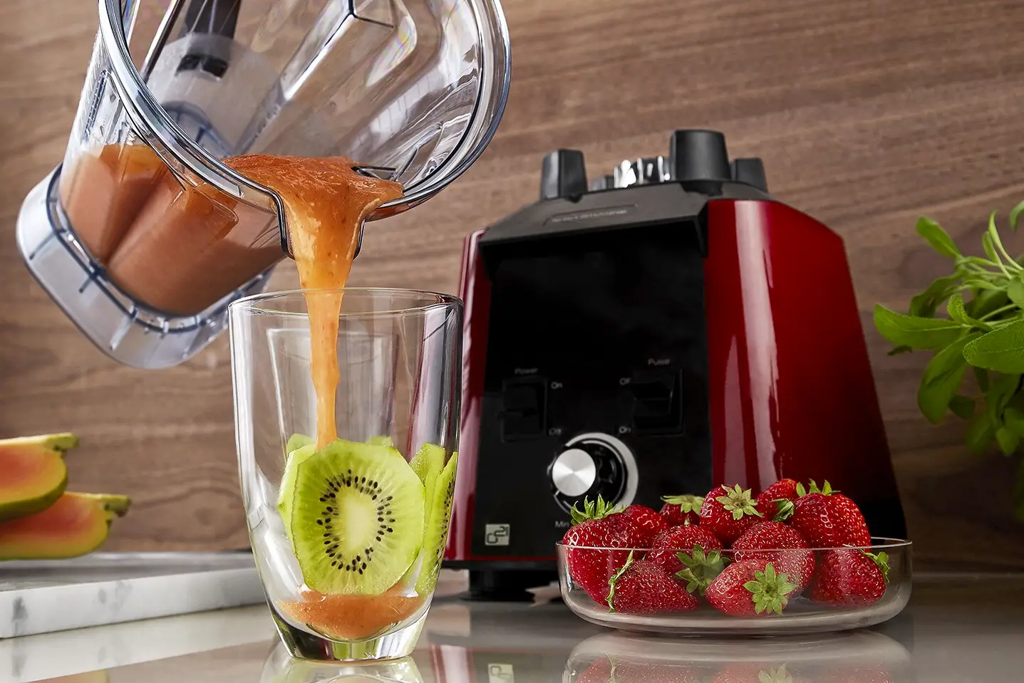 Vitality Ps-1680ngr G21 Perfection Perfect Smoothie Grinder User Manual