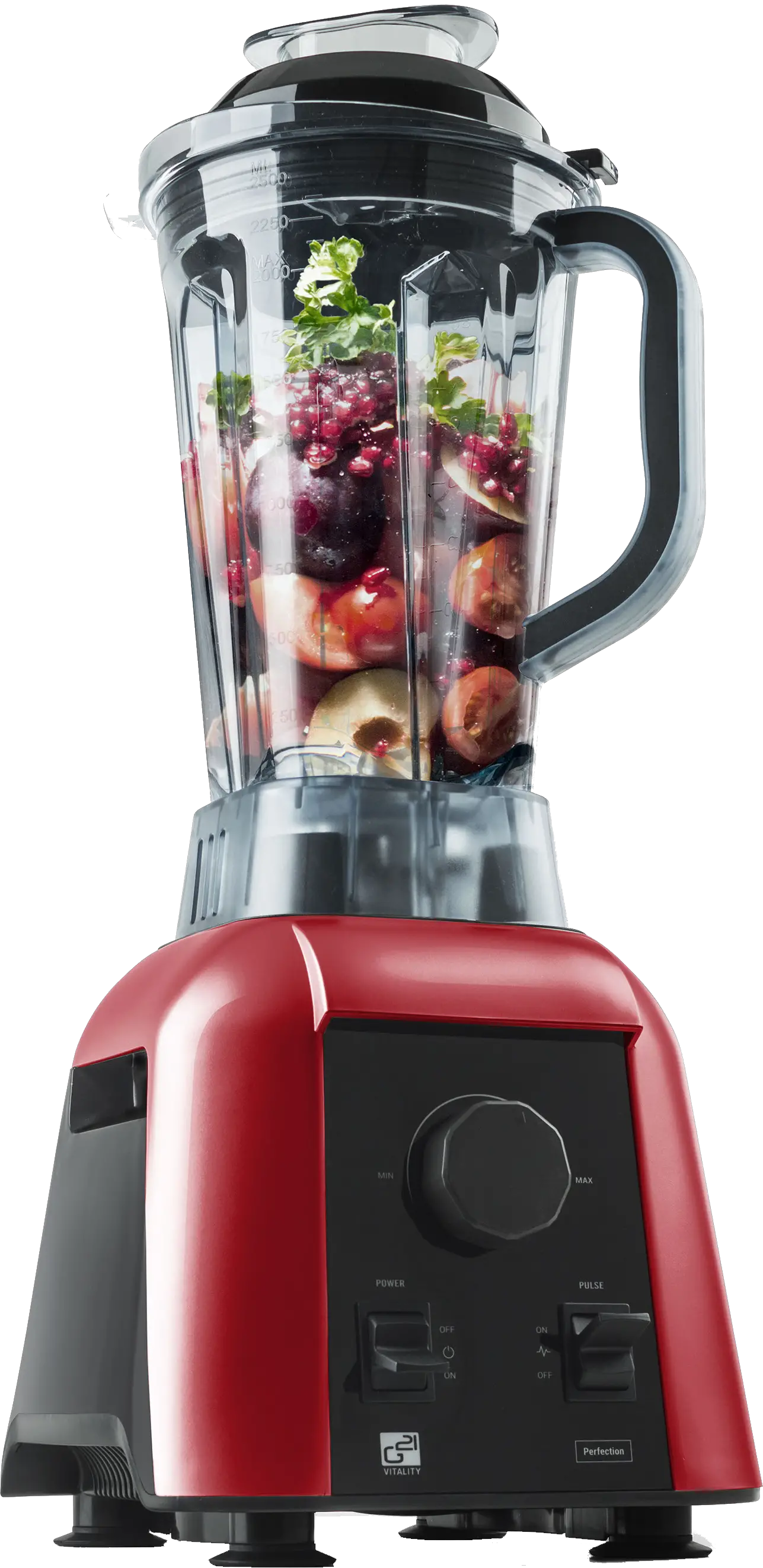 VITALITY PS-1680NGR G21 Perfection Perfect Smoothie Grinder