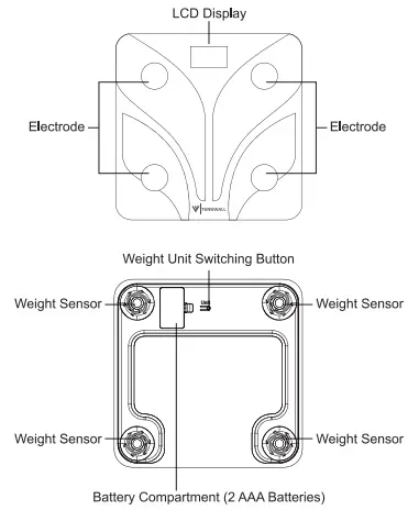 Shenzhen TZ280 smart Body fat scale 1