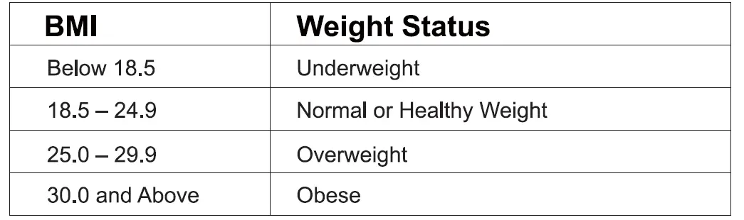 Shenzhen TZ280 smart Body fat scale 11