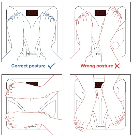Shenzhen TZ280 smart Body fat scale 7
