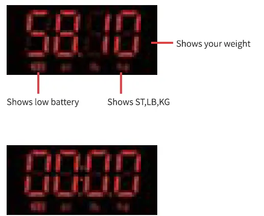Shenzhen TZ280 smart Body fat scale 9