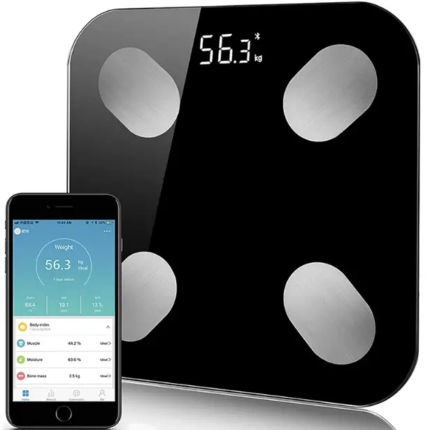 Shenzhen TZ280 smart Body fat scale