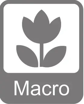 Macro Logo