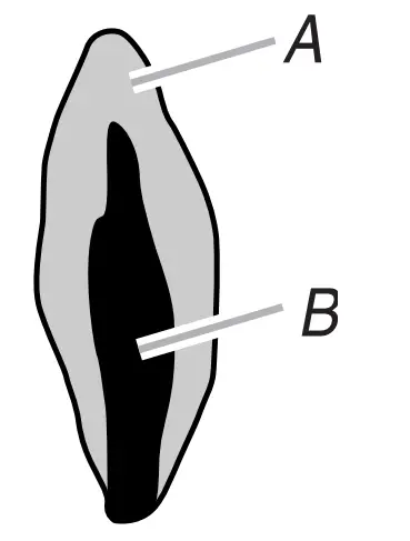 Whirlpool WFG505M0MS 30 Inch 5 Burner Freestanding Gas Range - fig 20