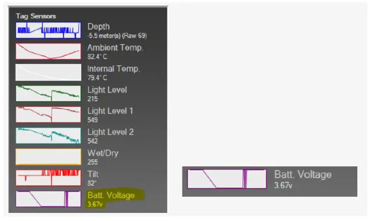 WILDLIFE-Benthic-sPAT-fug-17