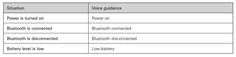 Voice guidance