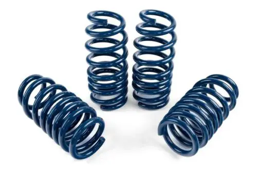 DINAN D100-0936 Performance Spring Set
