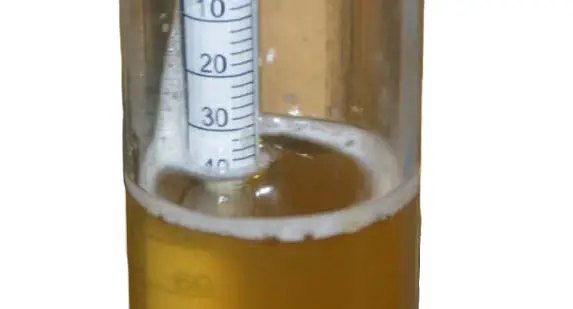 BRAU-SUPPLY-Unibrau-All-In-One-Electric-Brewing-System-32