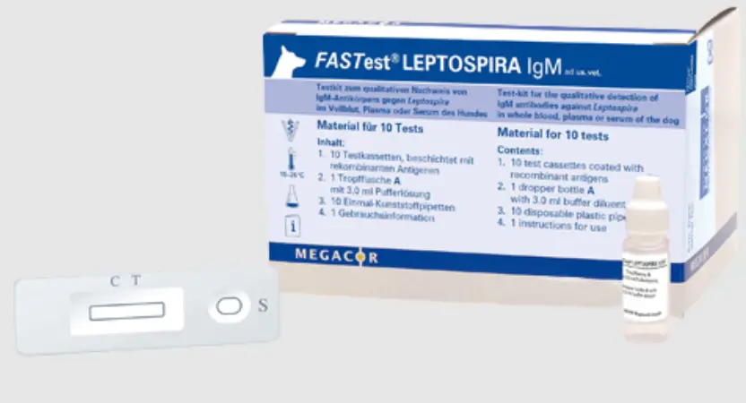 Vetlab-Supplies-FASTest-LEPTOSPIRA-IGM-Test-Kitproduct-image