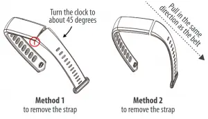 imperii-TT-FIEPRO-SmartBand-Rainbow-Diagram