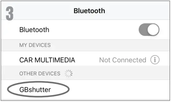 USING THE BLUETOOTH REMOTE
