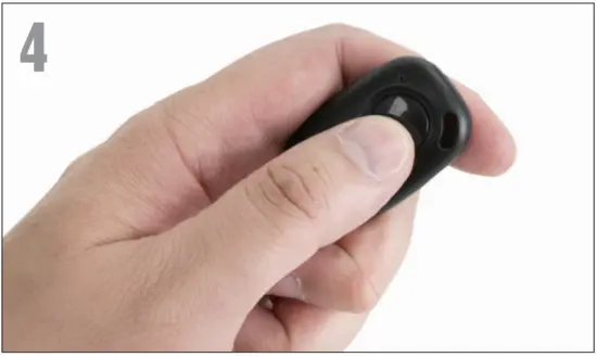 USING THE BLUETOOTH REMOTE