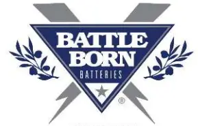 BATTLE BORN LOGO