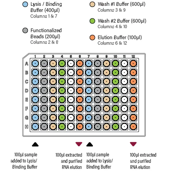 GALENVS Magneti-Blood-and-Cell-DNA-Extraction-Kit-fig- (1)
