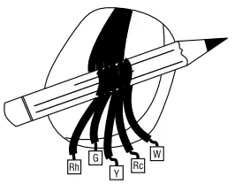 Honeywell RTH2520 Programmable -Identify