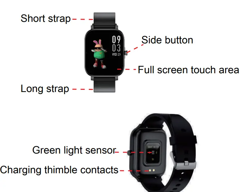 Appearance Introduction