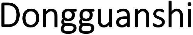 Dongguanshi logo