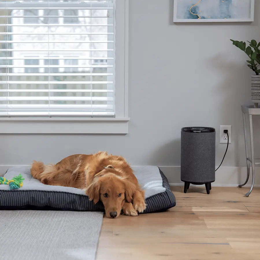 Bissell 3172 Series Myair Hub Air Purifier Instructions