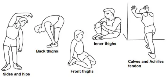 insportline FB050 Workout Bench - 1