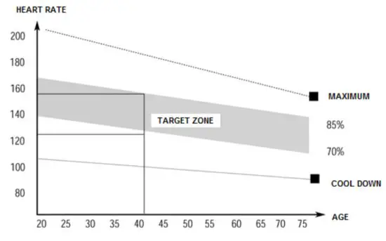 insportline FB050 Workout Bench - 2